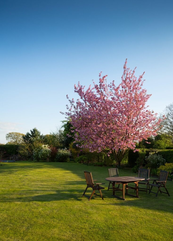 nature, garden, lawn, yard, chairs, tables, grass, bushes, trees, sky