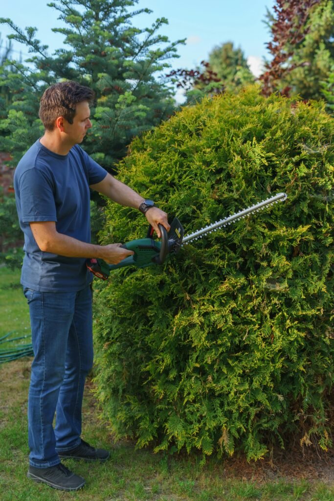 Man using an electric hedge trimmer to shape a garden shrub. Ideal for gardening themes.