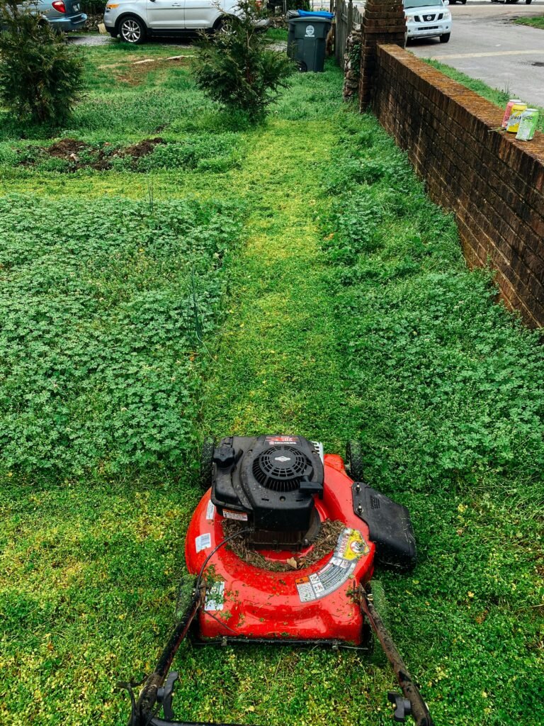 Red lawn mower cutting grass in a green garden with visible cut path. Ideal for gardening themes.